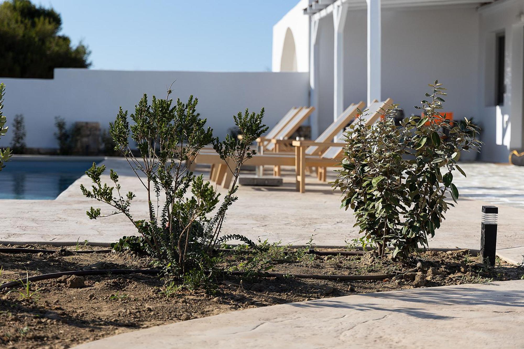 White Pearl Villa Naxos With Private Swimming Pool Naxos City Exterior photo