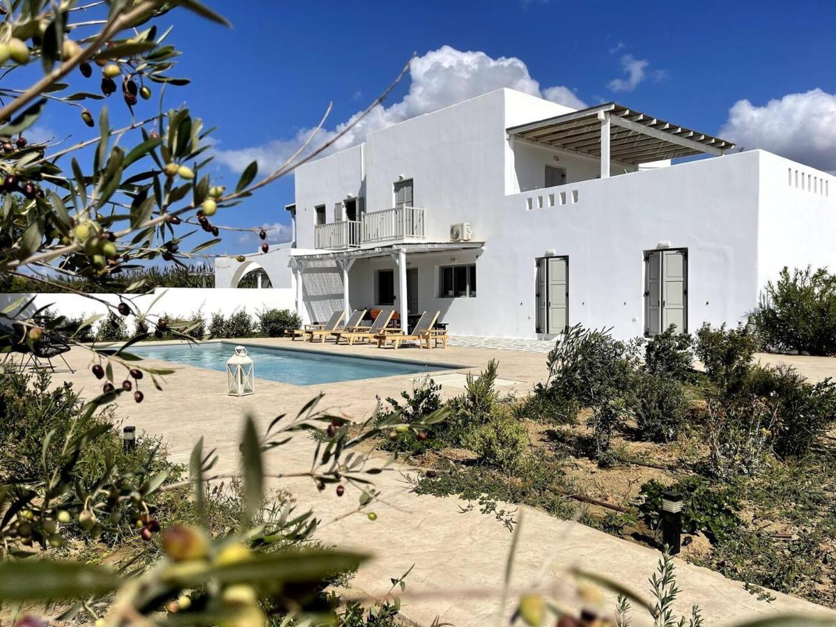 White Pearl Villa Naxos With Private Swimming Pool Naxos City Exterior photo