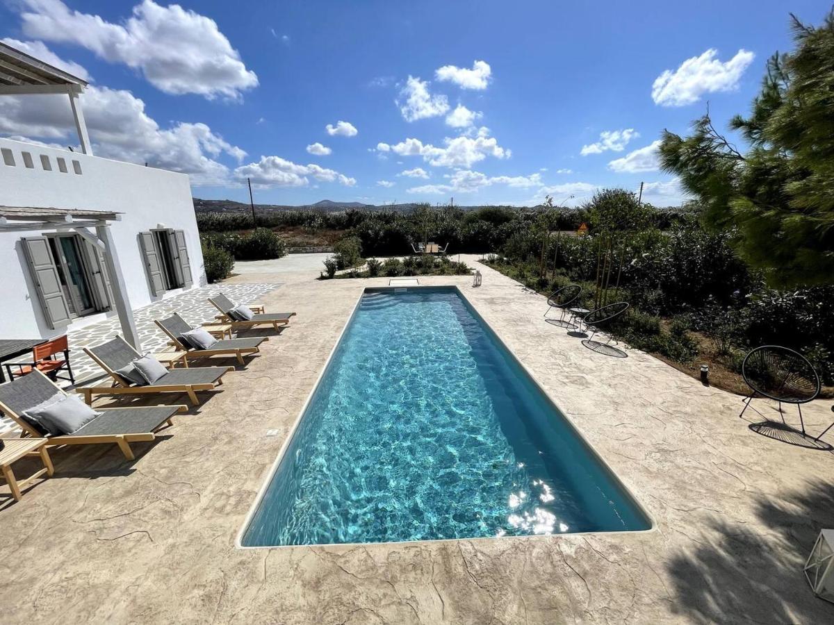 White Pearl Villa Naxos With Private Swimming Pool Naxos City Exterior photo